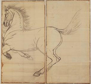 A line drawing of a rearing horse